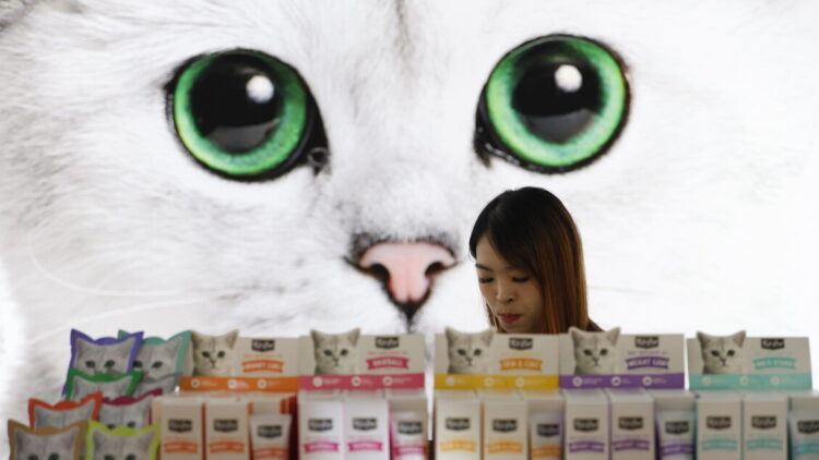 Corre la ‘pet economy’, spesa a 6,7 miliardi, +76% in 10 anni