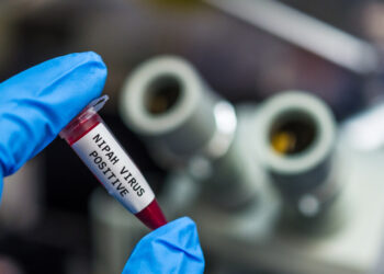 Ad aprile i primi test per un vaccino contro il virus Nipah