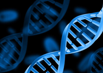 Da pressione a colesterolo alto, tracciata la mappa del Dna legato a malattie comuni