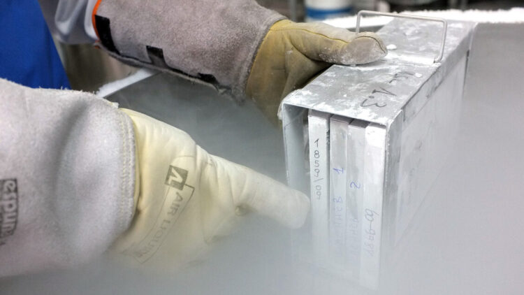 Punto nascita di Alessandria primo per la raccolta di sangue cordonale