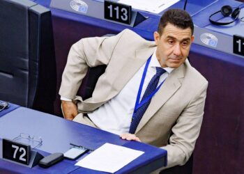 Europarlamento, il generale Vannacci in Ue con l’AfD: destra ‘trina’ anche in Italia
