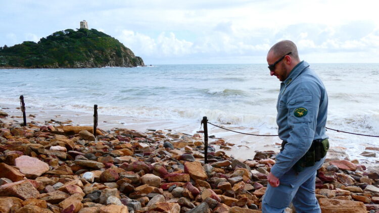 M5s, lo stop agli aiuti in Sicilia una scelta grave