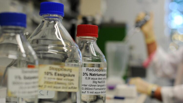 Scoperto un meccanismo molecolare di una sindrome del neurosviluppo