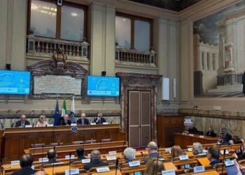 Fiaso, serve una rete territoriale forte per curare meglio le persone con diabete