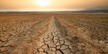 Super El Niño, prezzi del cibo su fino al 2028: la spesa degli italiani rischia un +15,8%