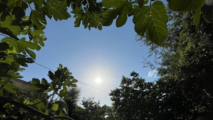Caldo e afa non mollano, l’allerta fino a dopo ferragosto