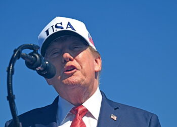 Trump: ‘Il partito populista AfD ha vinto in Germania, sono in ascesa’