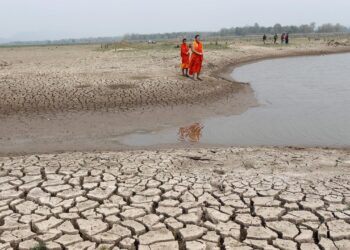 Allarme super El Niño, ‘rischio 450 mila morti per il caldo’